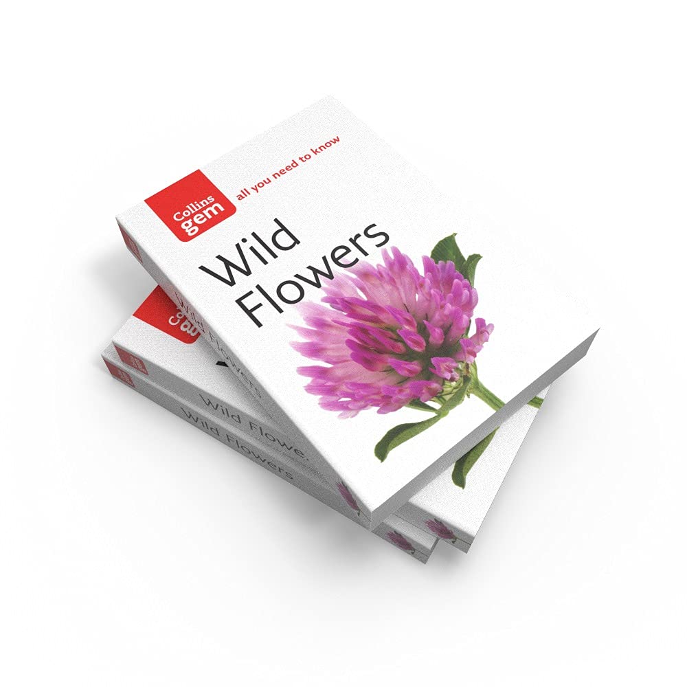 Collins Gem Wild Flowers by Martin Walters - Image 3