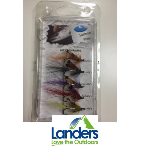 Dragon Ally's Shrimp Salmon Flies (Pack of 5 Flies)