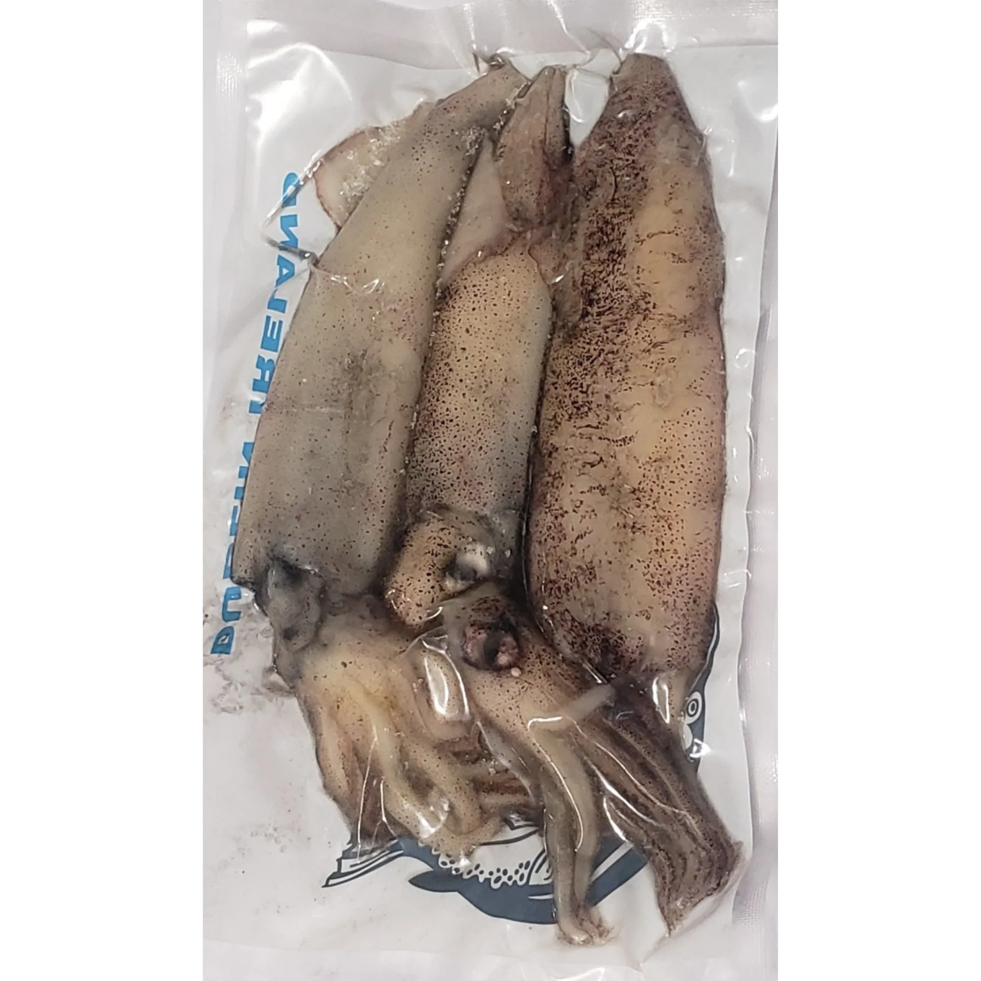 Frozen Bait - Vack Pack Squid (COLLECTION ONLY)