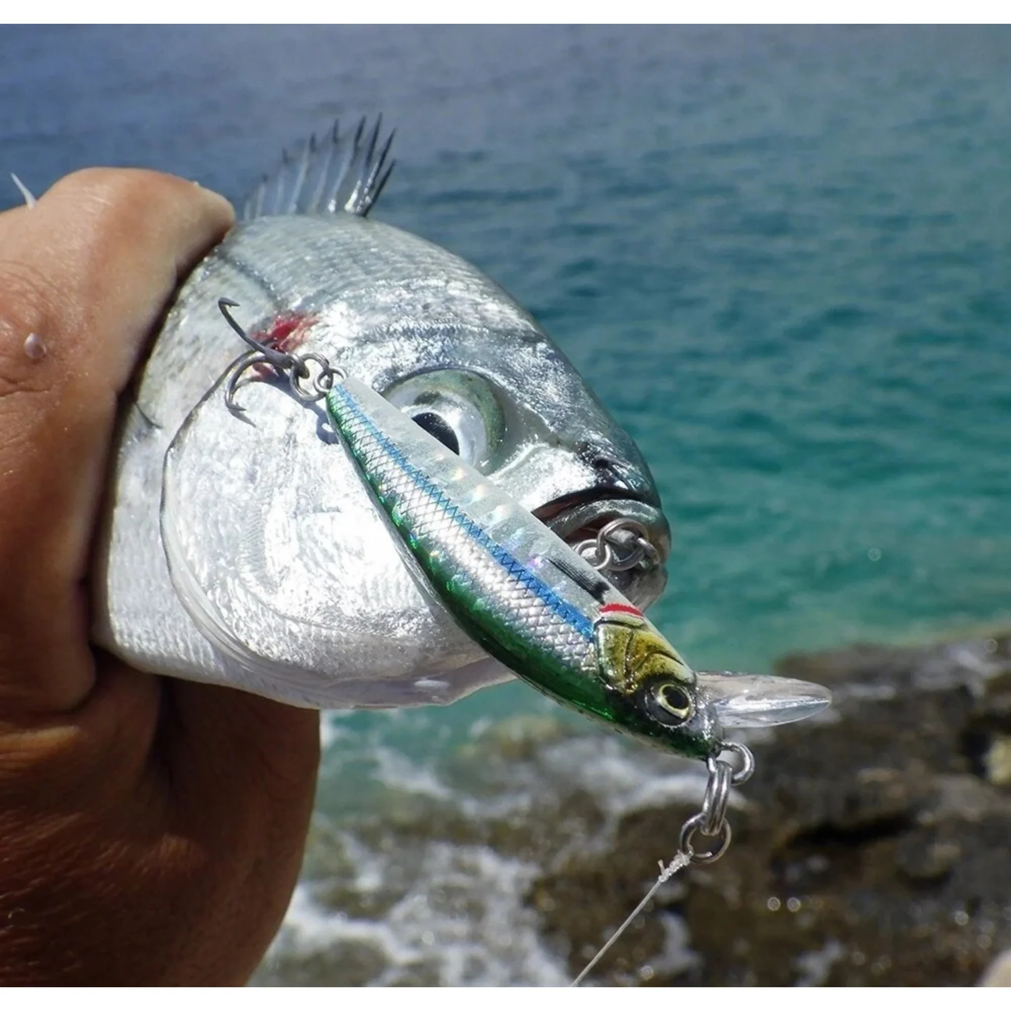 Savage Gear Gravity Minnow Wobbler (5cm/Floating/3.1g)(Saddled Bream) - Image 2