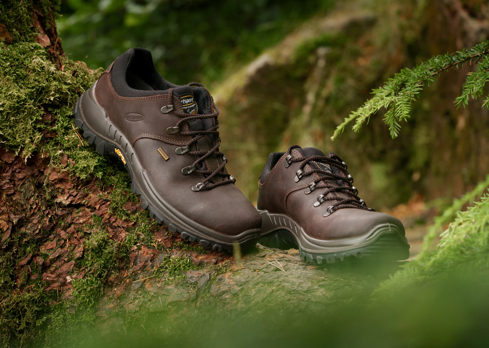 Grisport Men's Dartmoor Waterproof Walking Shoes (Brown) - Image 10