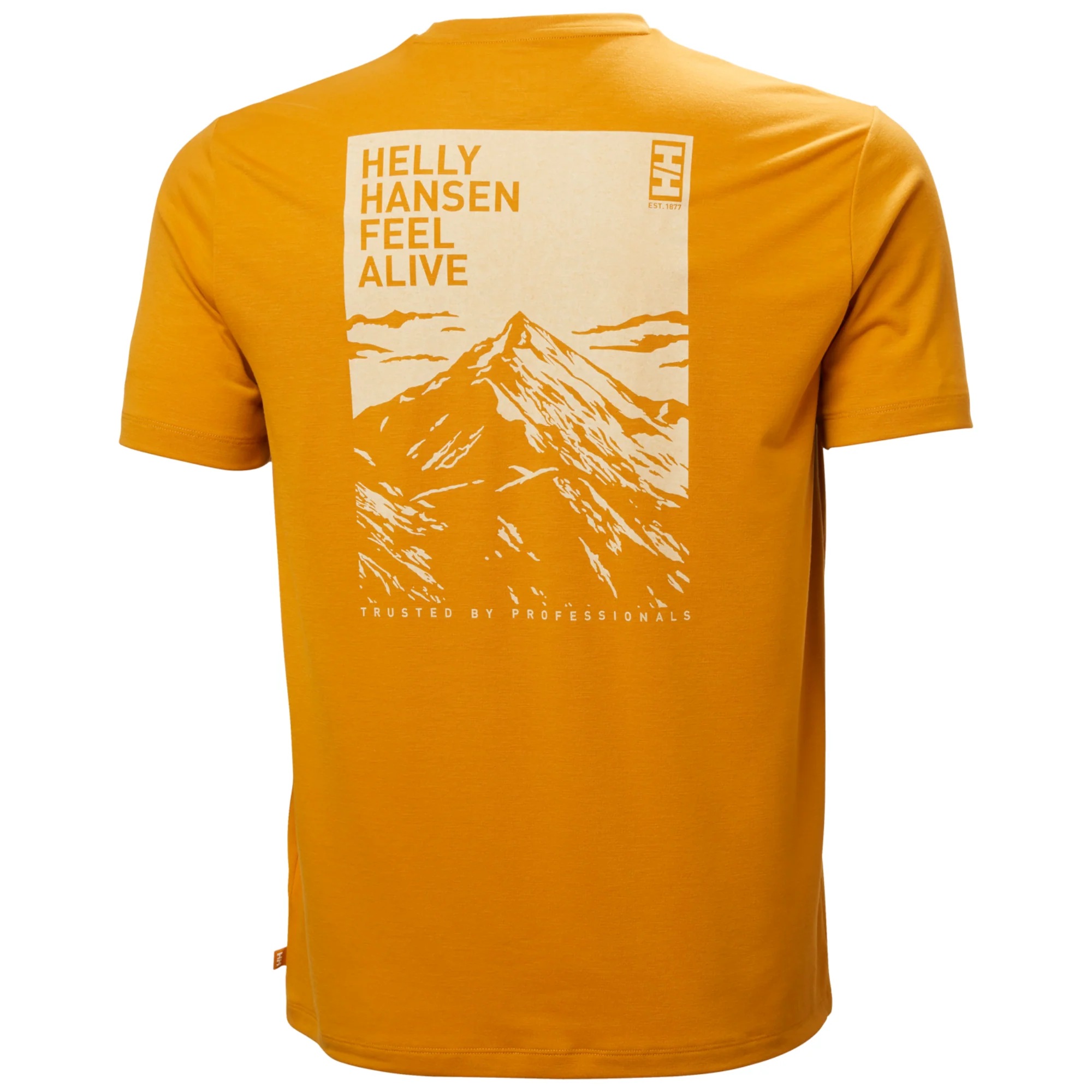 Helly Hansen Men's Skog UPF50 Recycled Graphic Short Sleeve Tee (Mustard) - Image 7