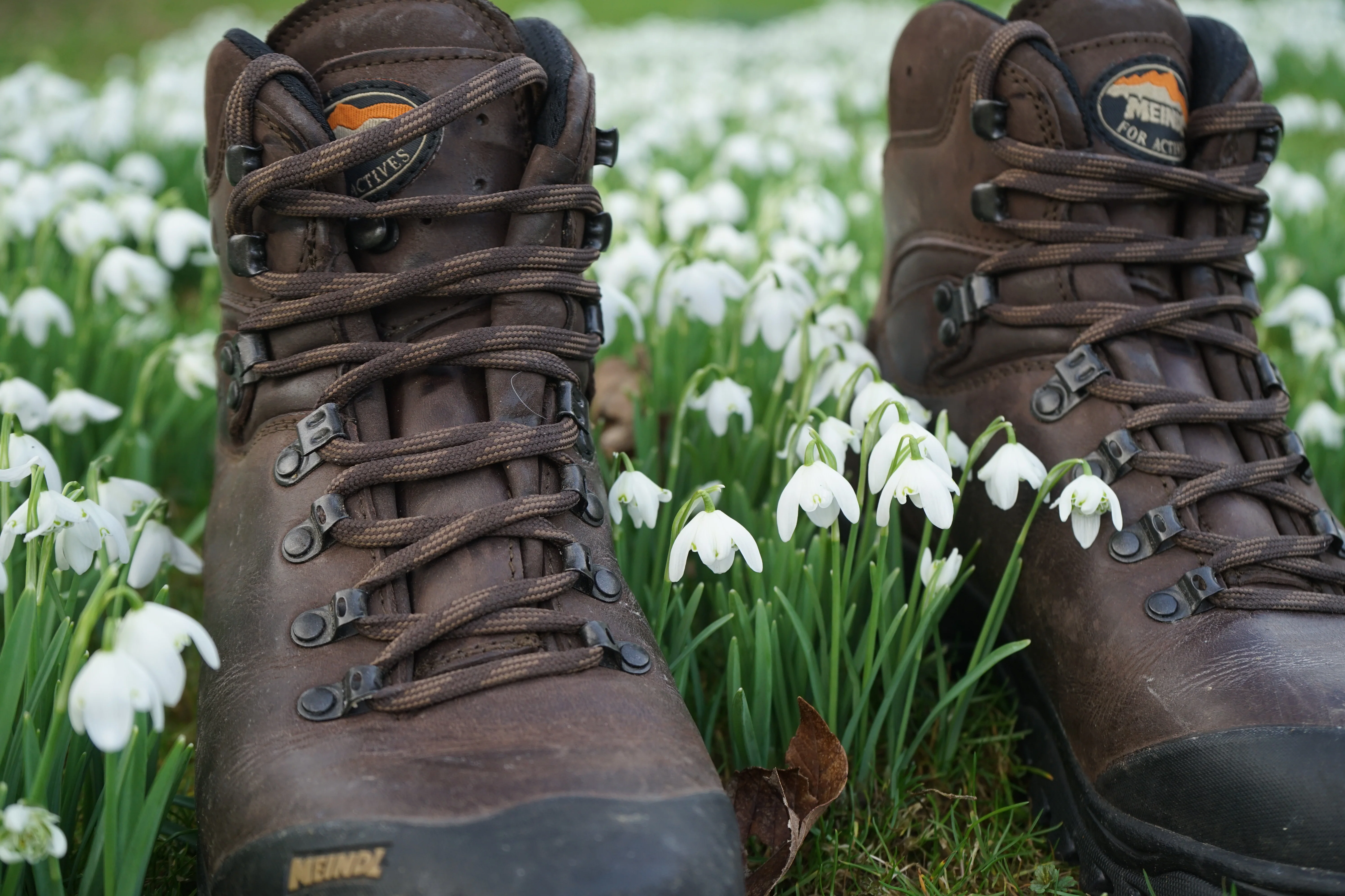Meindl Men's Kansas Gore-Tex Hillwalking Boots (Old Loden) - Image 9