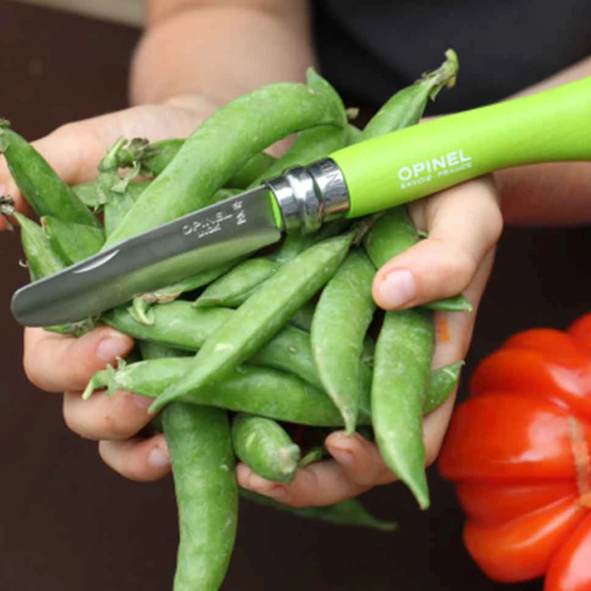 My First Opinel Kids #7 Stainless Steel Round Ended Knife (Apple) - Image 4