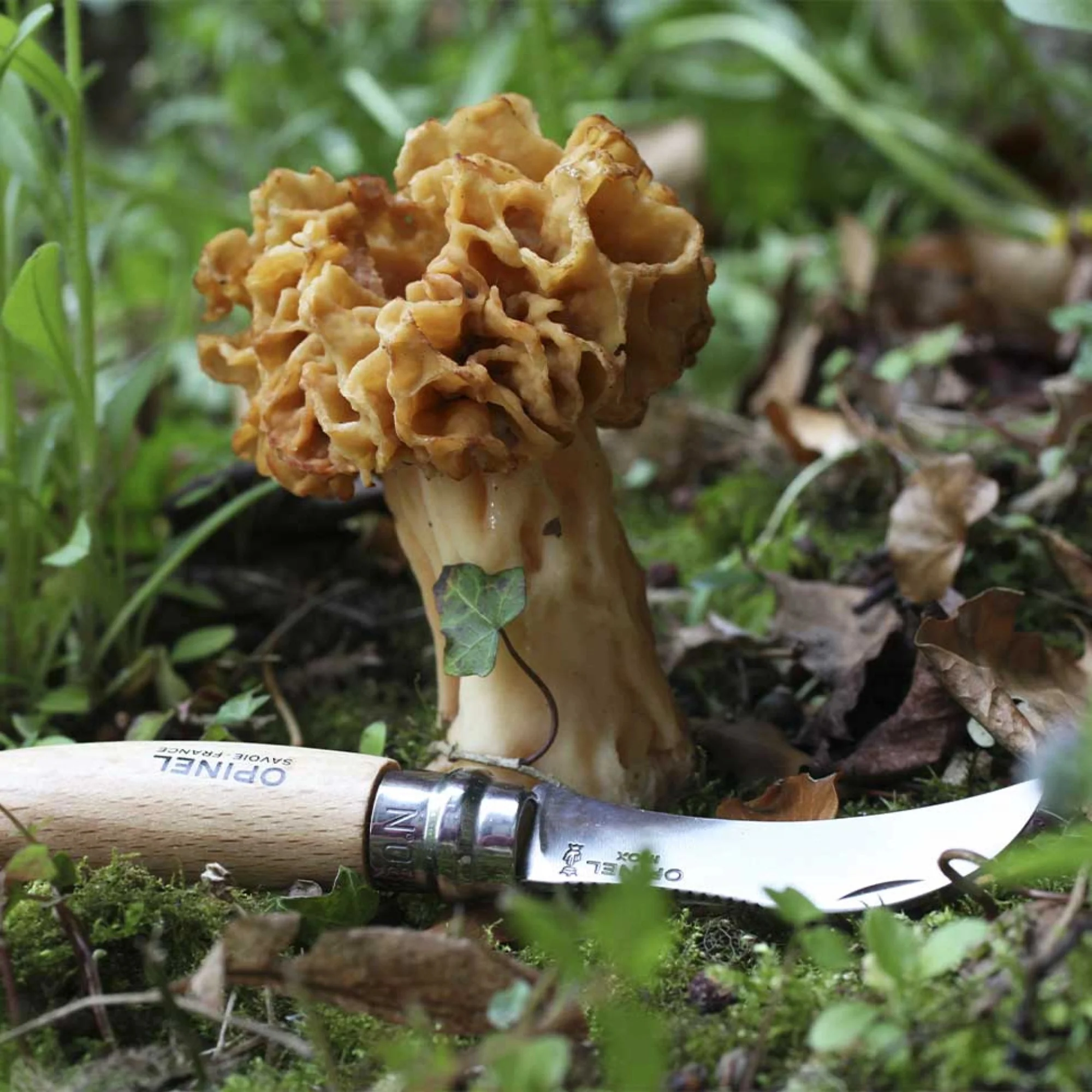 Opinel #8 Mushroom Knife - Image 5