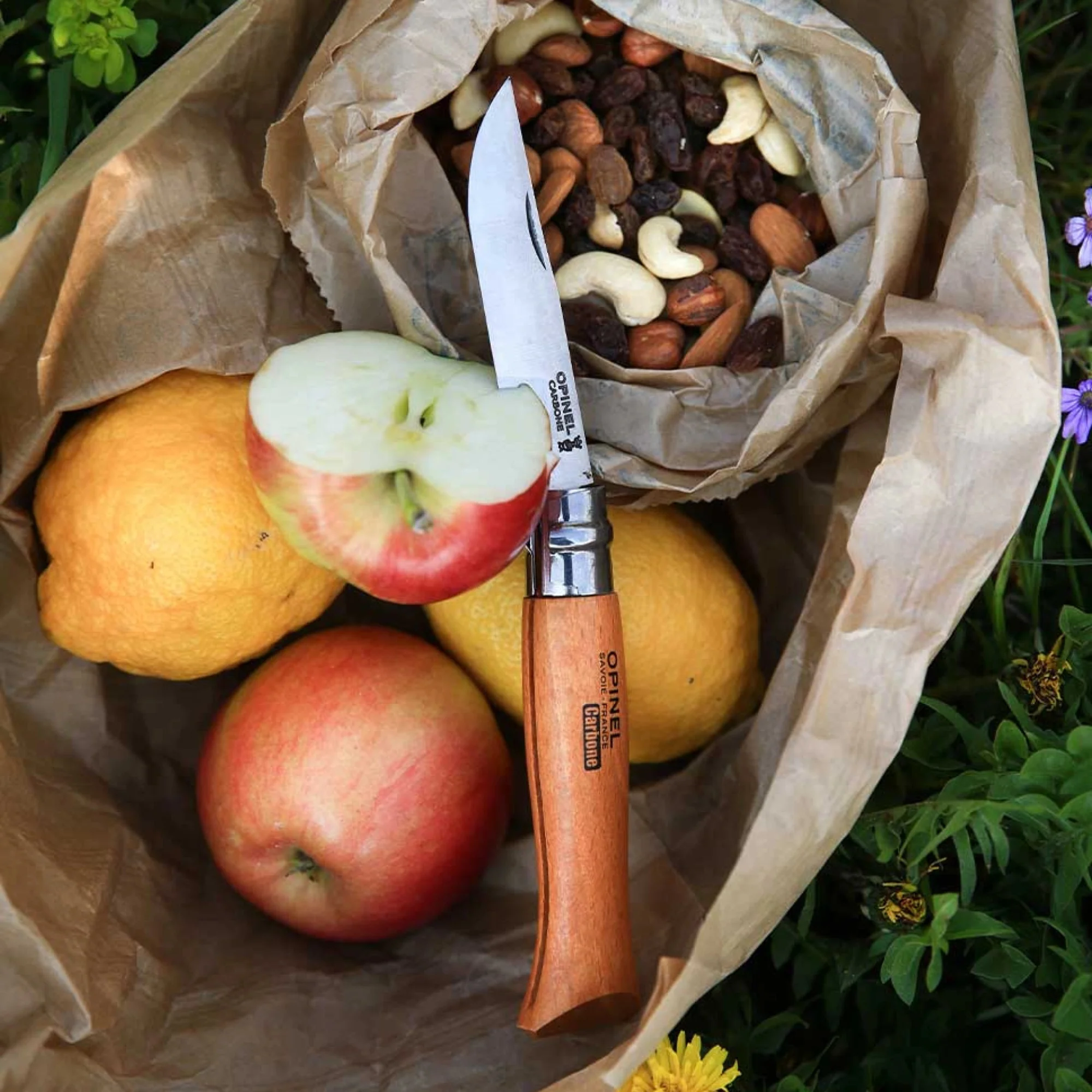 Opinel #9 Carbon Blade Folding Pocket Knife (Blister Packed) - Image 3