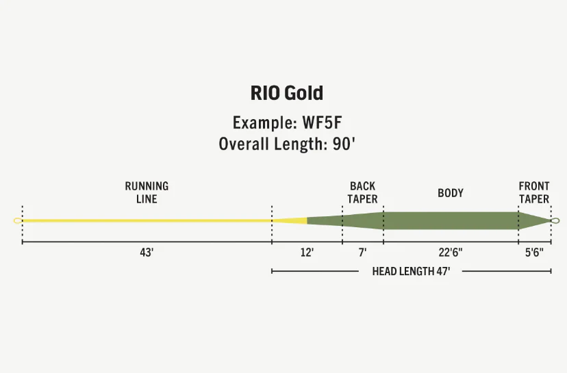 Rio Premier Gold WF5 Moss Line - Image 3