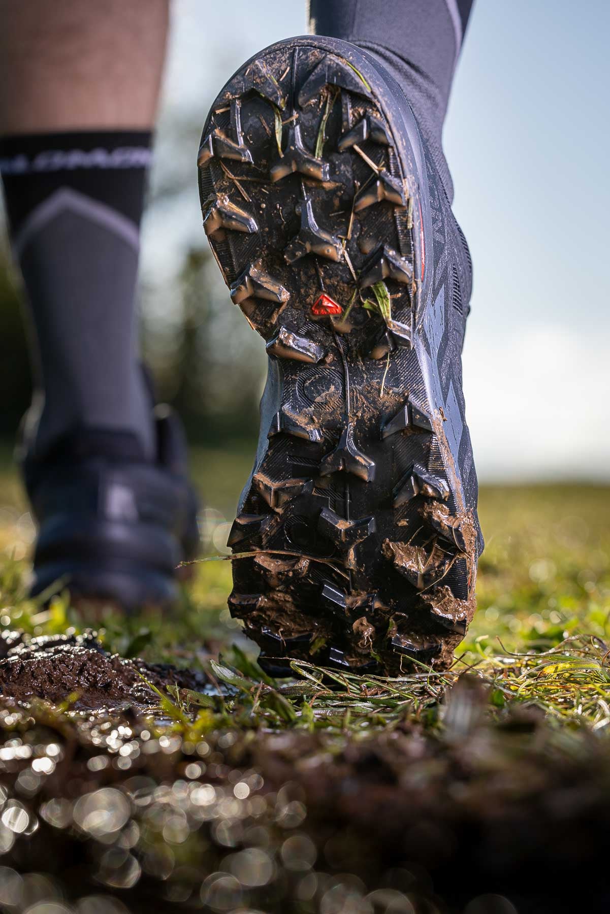 Salomon Men's Speedcross 6 Trail Running Shoes (Black/Phantom) - Image 11