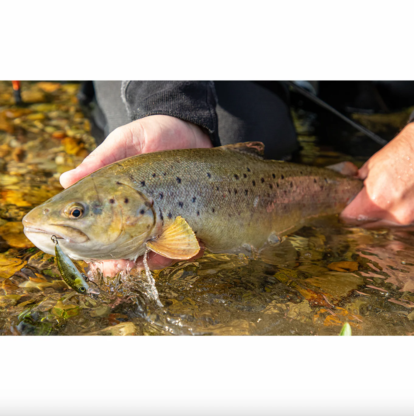 Savage Gear 3D Sticklebait Twitch Lure (5.5cm/Sinking/7g)(Olive Smolt) - Image 2