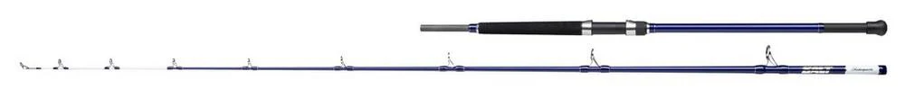 9' Shakespeare Salt Uptide Rod