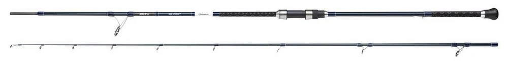 10' Shakespeare Salt XT Sea Spinning Rod