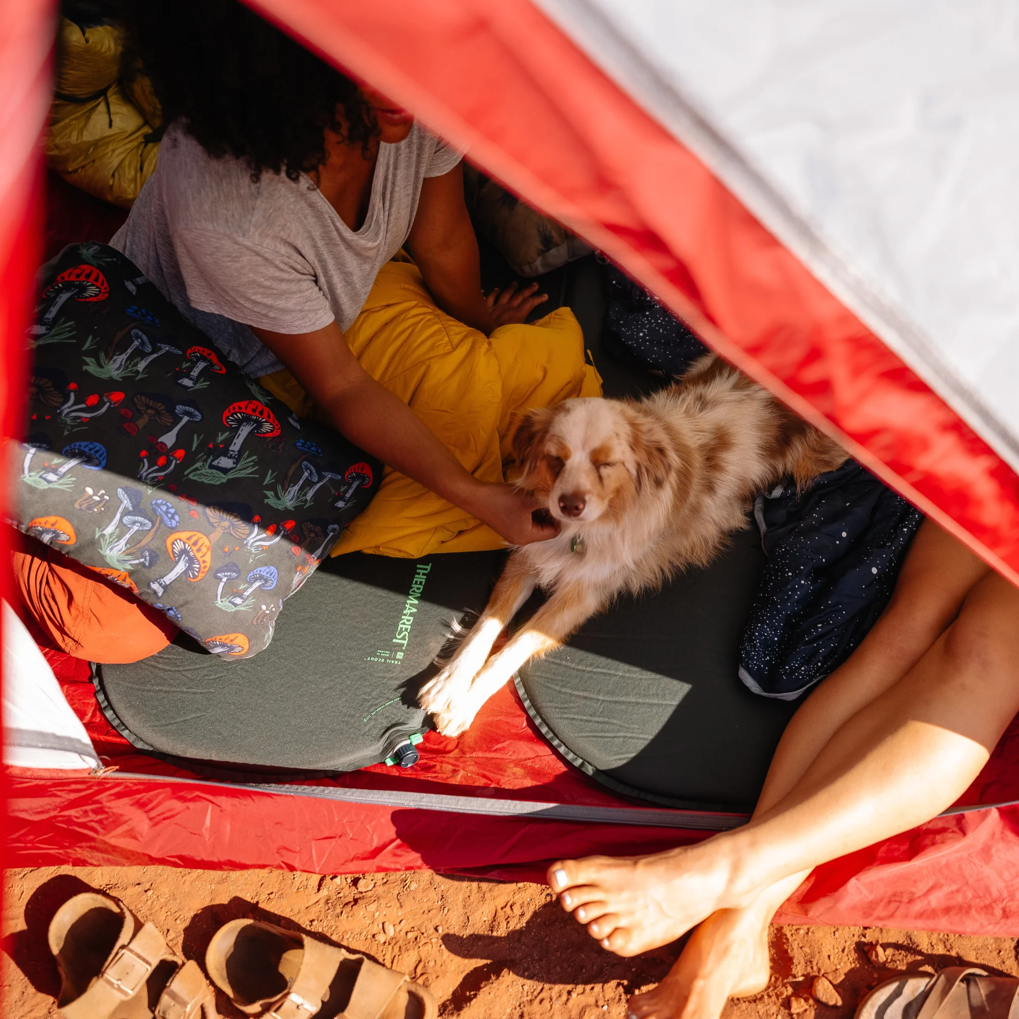 Thermarest Trail Scout Self-Inflating Sleep Mat (R-Value: 3.1)(Deep Forest) - Image 8