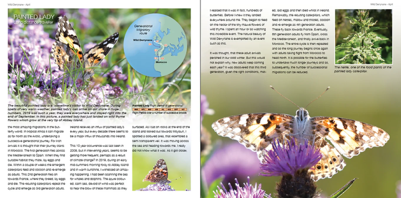 Vincent Hyland's Wild Derrynane Book - Updated Version (Hardback) - Image 5