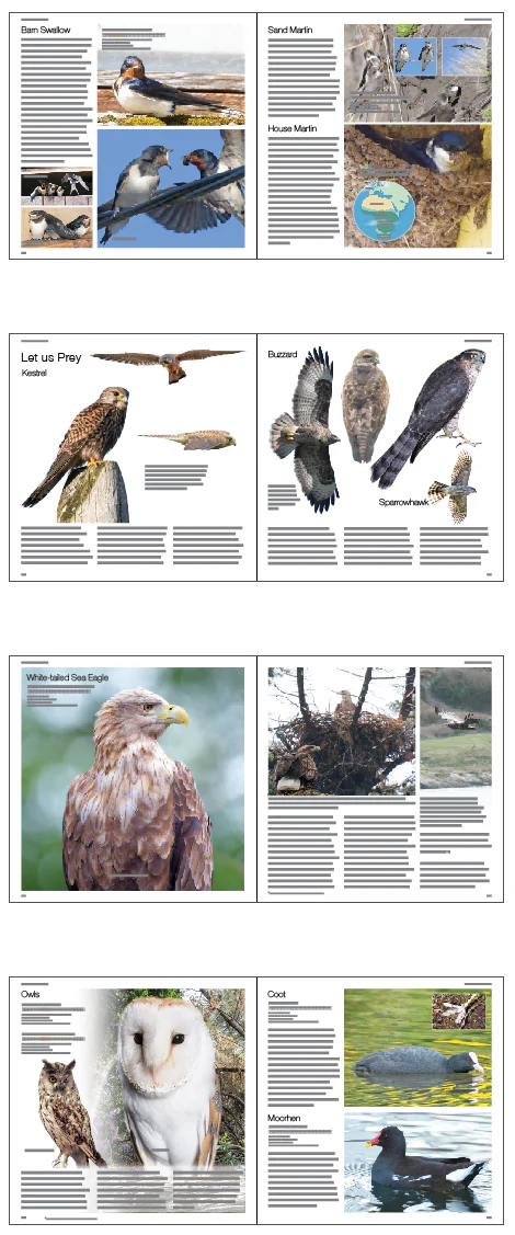 Vincent Hyland's Wild Derrynane Book - Updated Version (Hardback) - Image 7